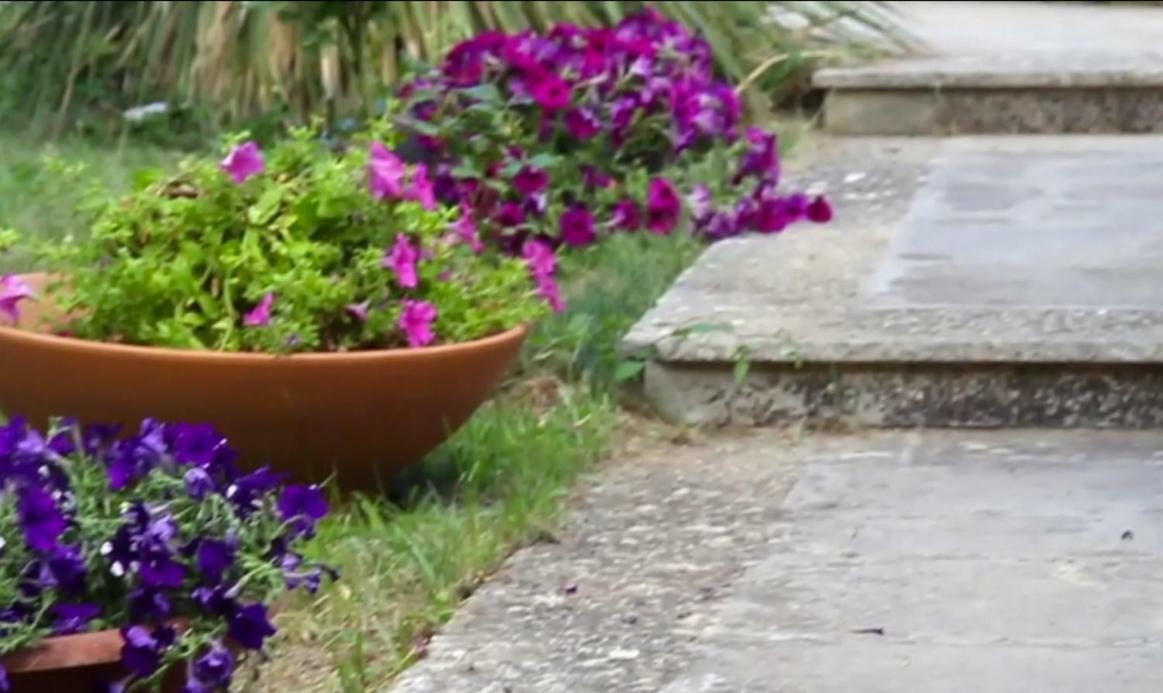 B&B Villa Victoria Ragusa Exterior photo